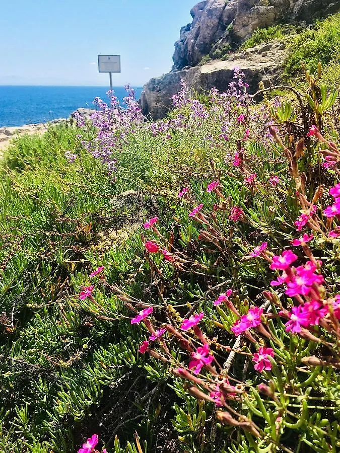 Suite Dei Cristalli Favignana 0*,