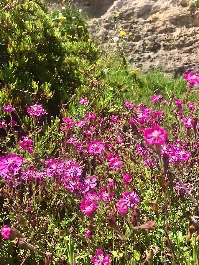 Suite Dei Cristalli Favignana 0*,